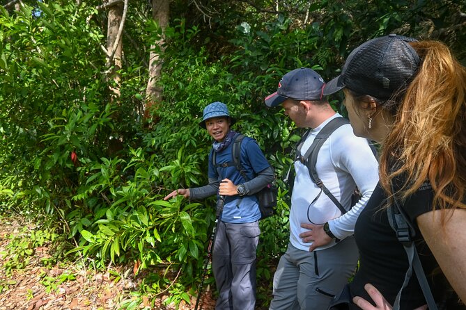 Trekking Tien Son Dinh Phu Quoc - What the guides add to the walk