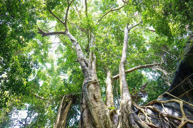 Trekking Tien Son Dinh Phu Quoc - The cave option for a different kind of adventure