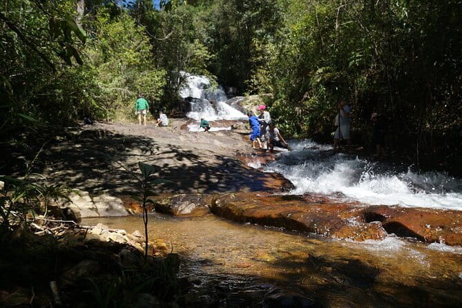 Trekking Tour to Hidden Waterfall & Sturgeon Farm for dog-lovers - Why seven dogs change the whole walk