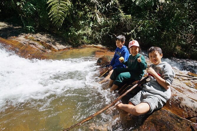 Trekking Tour to Hidden Waterfall & Sturgeon Farm for dog-lovers - Best times to combine the farm activities