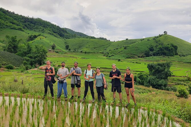 Trekking with Lunch cooked by Bamboo in the Chiang Rai jungle - Key points at a glance