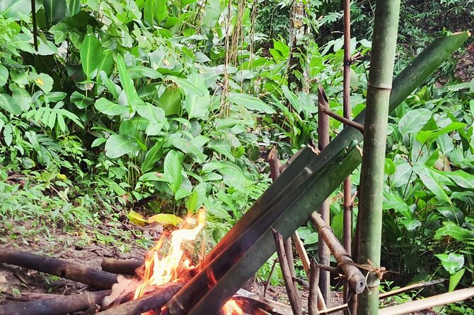 Trekking with Lunch cooked by Bamboo in the Chiang Rai jungle - What $58.32 covers