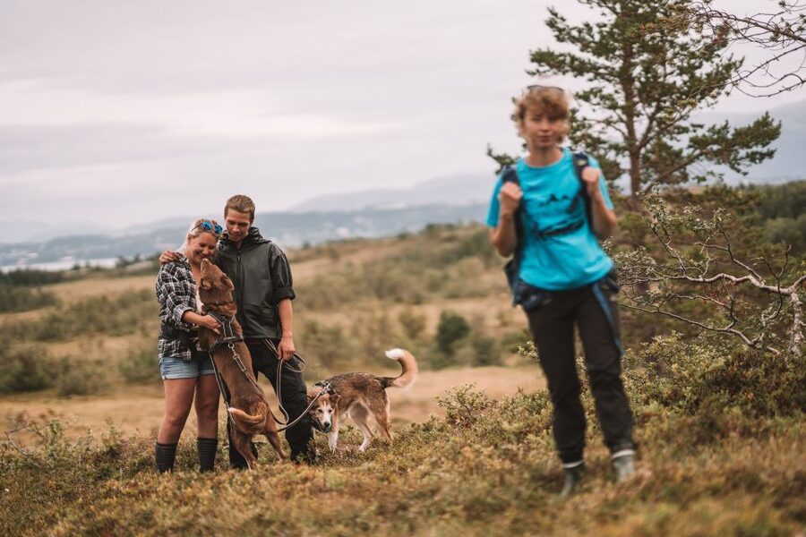 Tromsø: Husky Hike and Puppy Visit with Traditional Lunch - Lunch in a Sami lavvo