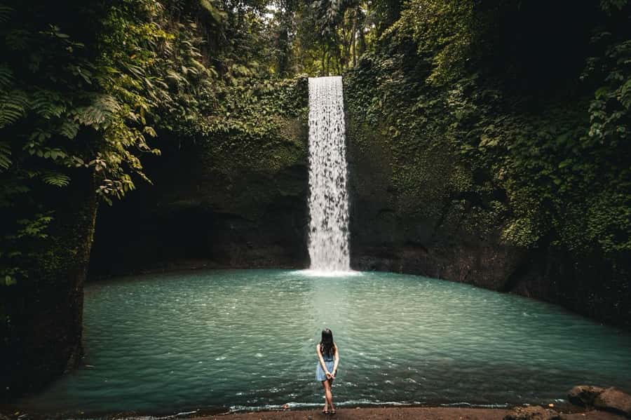 Ubud: Rice Terrace, Holy Water Temple & Waterfalls Trek Tour - Why this Ubud day works so well