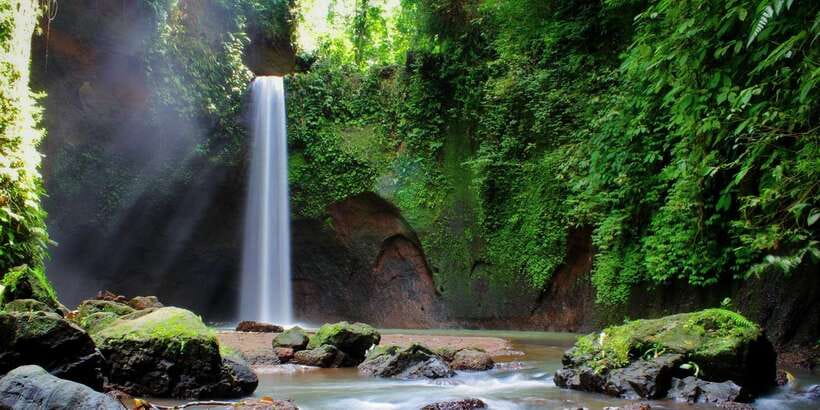 Ubud: Rice Terrace, Holy Water Temple & Waterfalls Trek Tour - Tibumana Waterfall for a cool break
