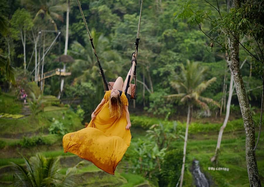 Ubud: Rice Terrace, Holy Water Temple & Waterfalls Trek Tour - Is $33 good value?