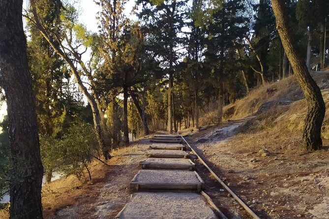 Ultimate Athens Sunrise Hike! - Who will enjoy this experience most