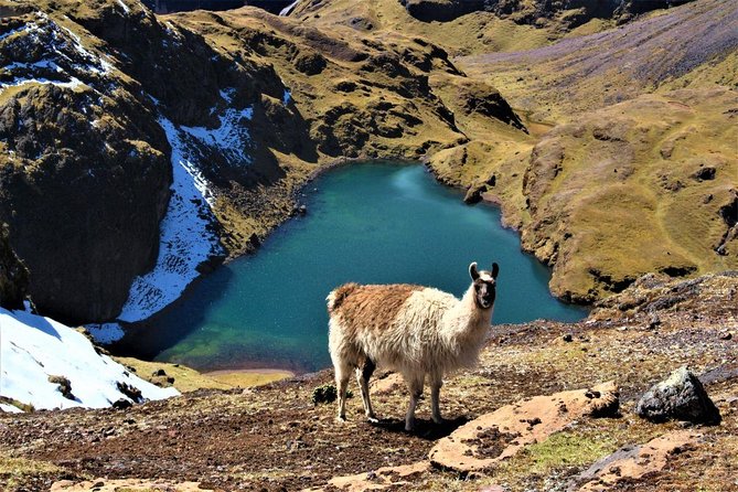 Ultimate Lares Trek & Inca Trail 5 days - Who should book this five-day route