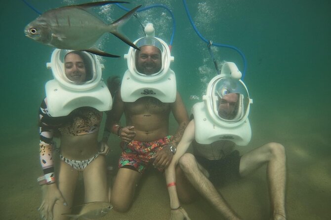 Underwater Sea Trek in San Juan: Explore Beneath the Waves - What is included for the day
