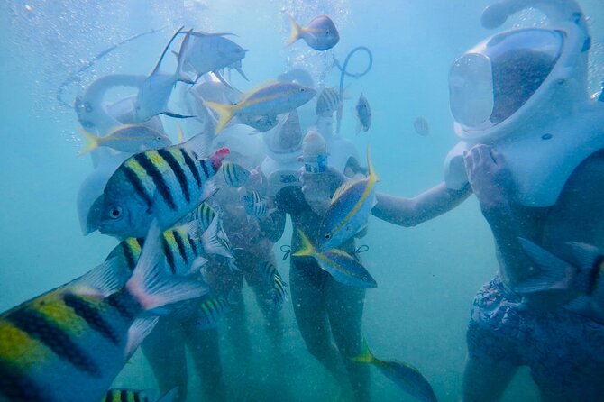 Underwater Sea Trek in San Juan: Explore Beneath the Waves - Who will enjoy this most