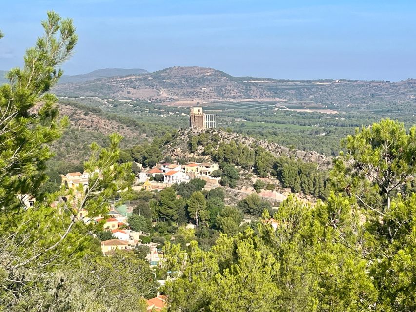 Valencia: Sierra Calderona & El Garbí Mountain hiking Tour - Who should book this hike?