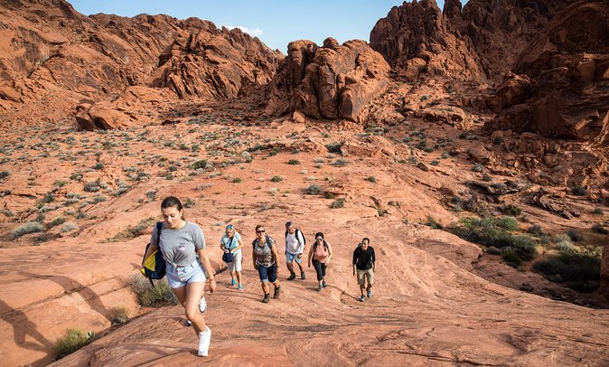 Valley of Fire Guided Hike from Las Vegas - Why Valley of Fire makes a better day outside Las Vegas