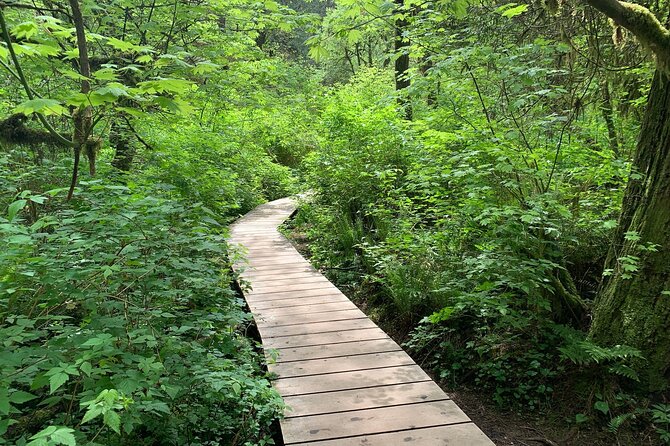 Vancouver Rainforest Hike with Waterfalls, Suspension Bridge, Old Growth Forest - Lynn Canyon Suspension Bridge: the first taste of height
