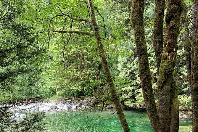 Vancouver Rainforest Hike with Waterfalls, Suspension Bridge, Old Growth Forest - Natural pools and the question of swimming