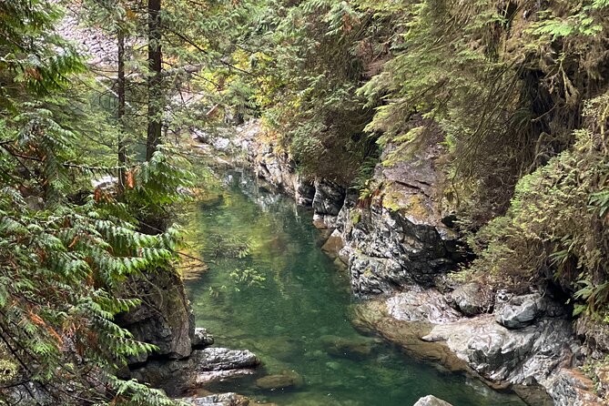 Vancouver Rainforest Hike with Waterfalls, Suspension Bridge, Old Growth Forest - Adrian’s guiding style and the small-group advantage