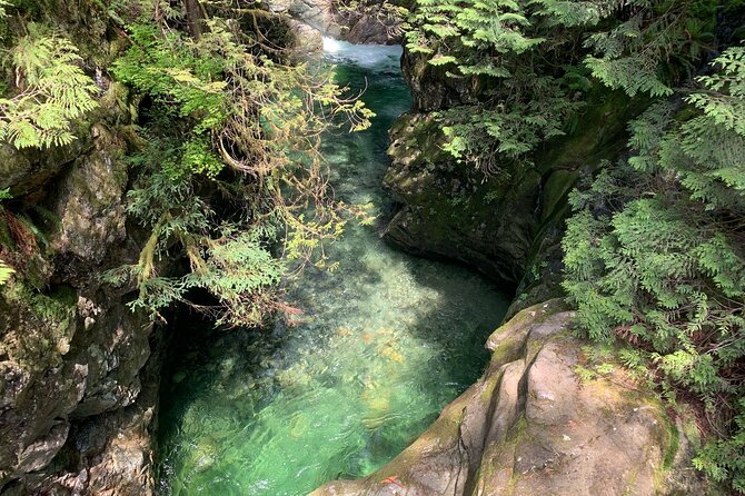 Vancouver Rainforest Hike with Waterfalls, Suspension Bridge, Old Growth Forest - How hard is the hike?