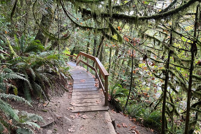 Vancouver Rainforest Hike with Waterfalls, Suspension Bridge, Old Growth Forest - What the $58.56 price gets you