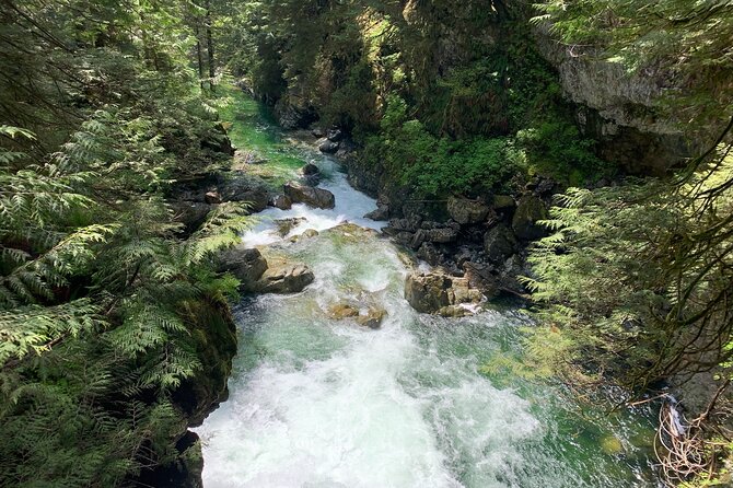 Vancouver Rainforest Hike with Waterfalls, Suspension Bridge, Old Growth Forest - Old-growth trees, creek views, and a changing trail