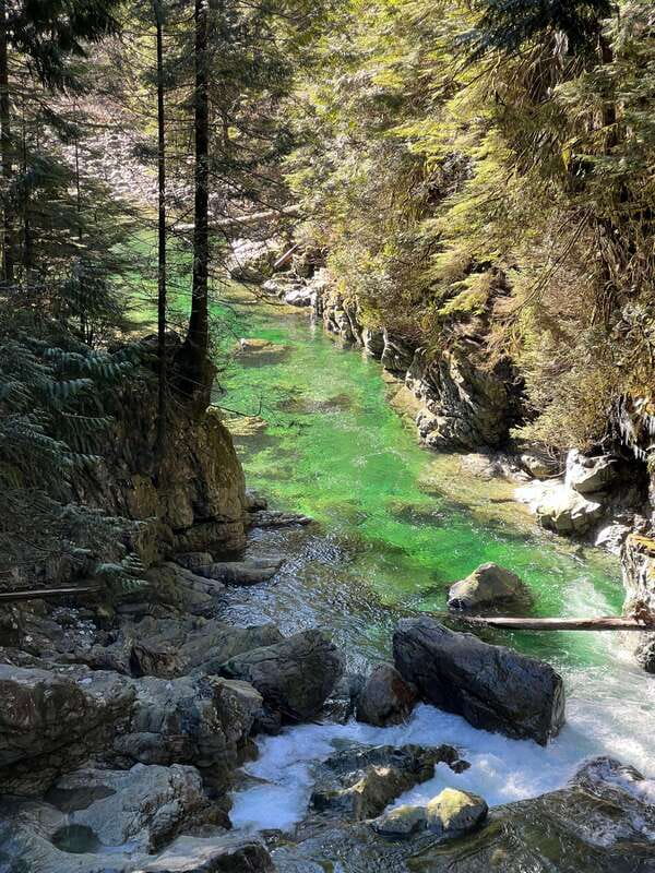 Vancouver: Rainforest Waterfall Hike and Suspension Bridge - Key points to know before you book