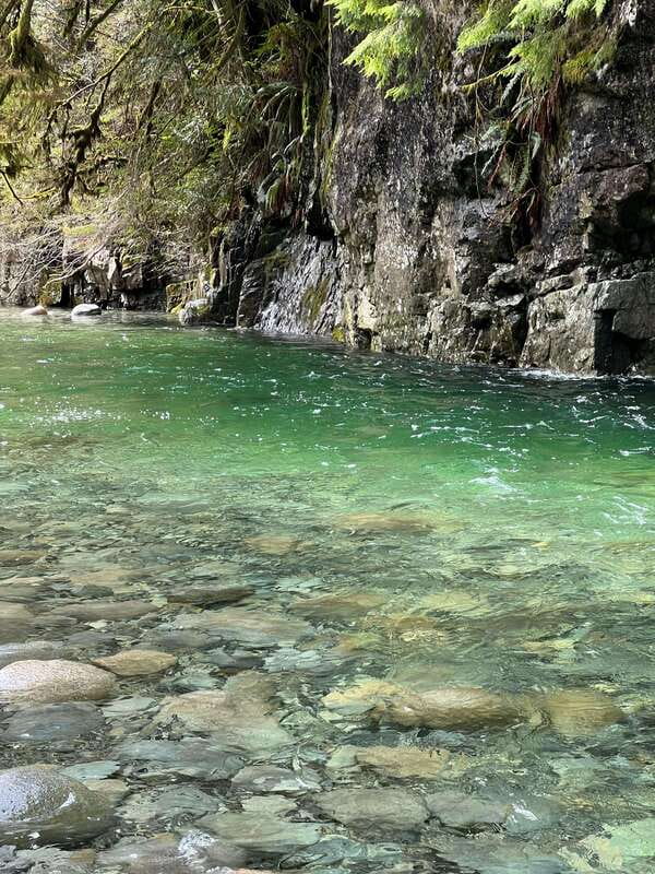 Vancouver: Rainforest Waterfall Hike and Suspension Bridge - The stairs are part of the deal