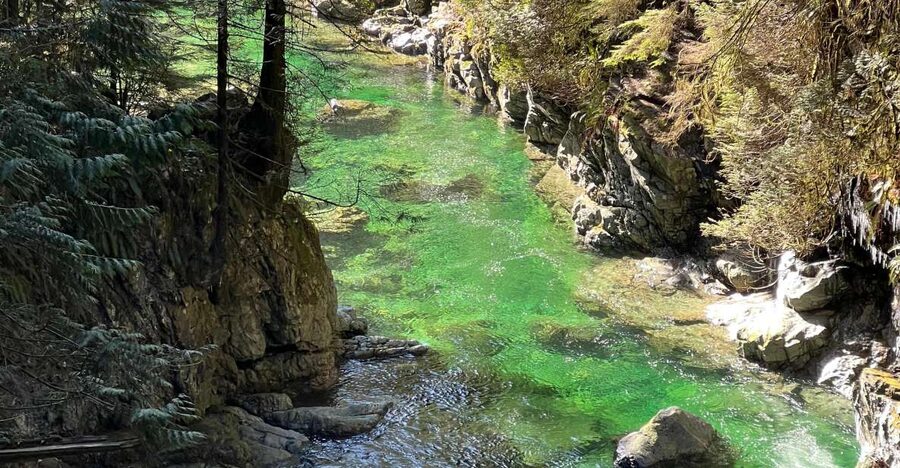 Vancouver: Rainforest Waterfall Hike and Suspension Bridge - Crossing the suspension bridge