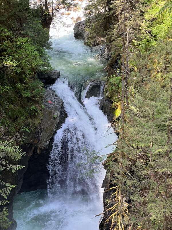 Vancouver: Rainforest Waterfall Hike and Suspension Bridge - Is $62 good value?
