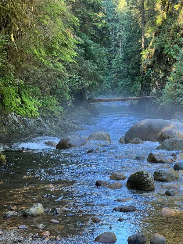 Vancouver: Rainforest Waterfall Hike and Suspension Bridge - Who should book this hike?