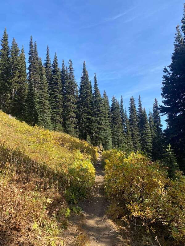 Vancouver/Squamish: Garibaldi Park Panorama Ridge Hike - A steady climb through streams and forest