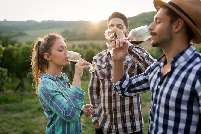 Veni vidi vino - the Freiburg wine hike - Freiburg wine with a Schlossberg view