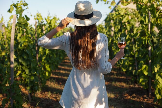 Veni vidi vino - the Freiburg wine hike - Five wines from the Kaiserstuhl