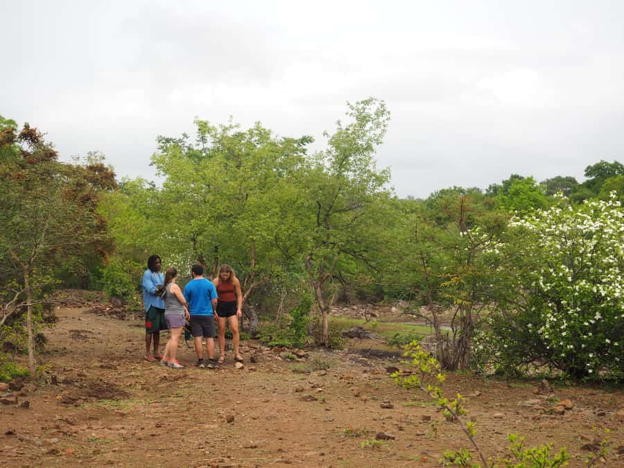 Victoria Falls Gorge Hike & Farm to Table Village Lunch - What the $120 price really covers