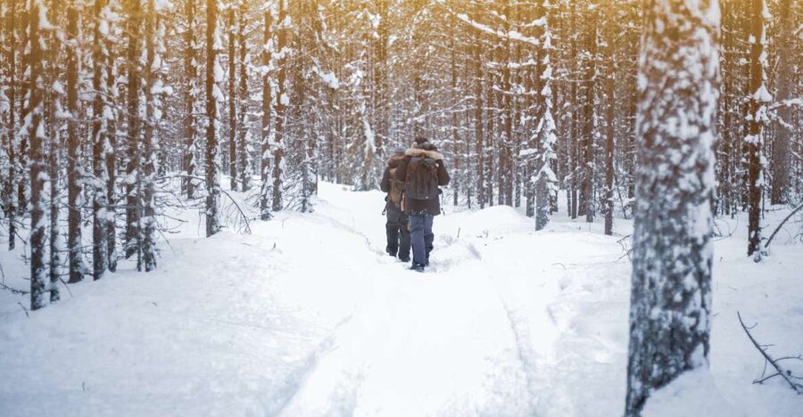 Vikakongas Hike: Nature and Silence - Key things to know before you go