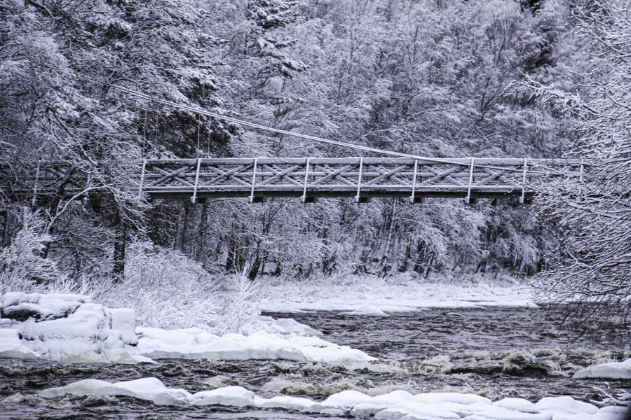 Vikakongas Hike: Nature and Silence - Should you book the Vikakongas Hike?