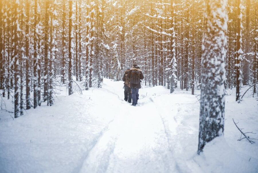 Vikakongas Hike: Nature and Silence - Two kilometers beside the northern forest