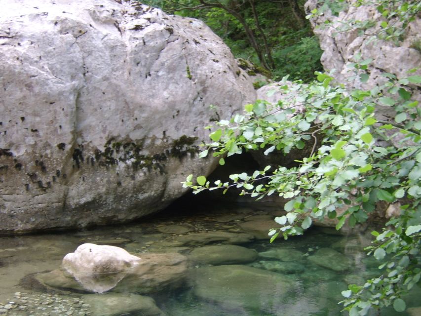 Vikos Gorge Full-Day Guided Hike - Key points to know before you go