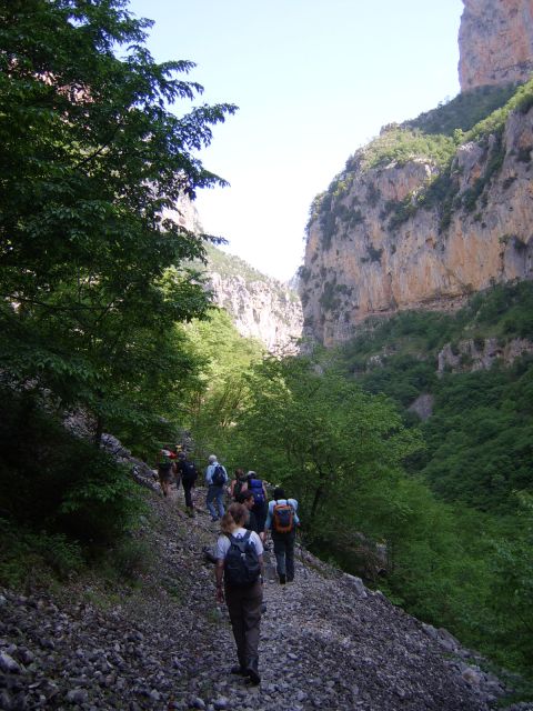 Vikos Gorge Full-Day Guided Hike - The real effort: who should book this hike?
