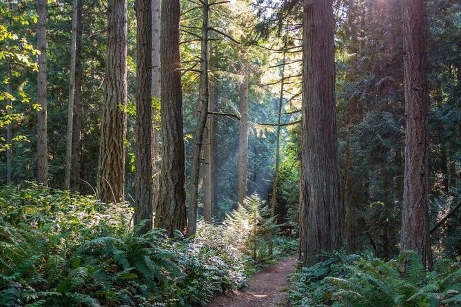 Visit Snoqualmie and Hike to Twin Falls (Transportation included) - What the hiking pace is really like