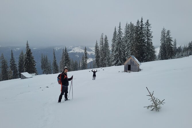 Vladeasa Peak and Bride's Waterfall Day Hike - What winter adds to the challenge