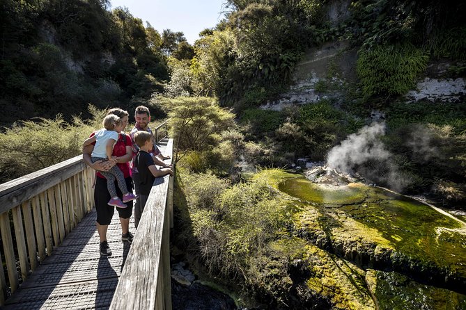 Volcanic Valley Self Guided Walking and Hiking at Waimangu - Forest, wetlands, birds, and the quieter parts