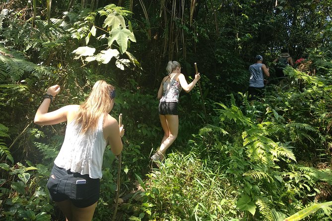 volcano hike and jungle trekking adventure - Waterfall swimming and geothermal hot springs