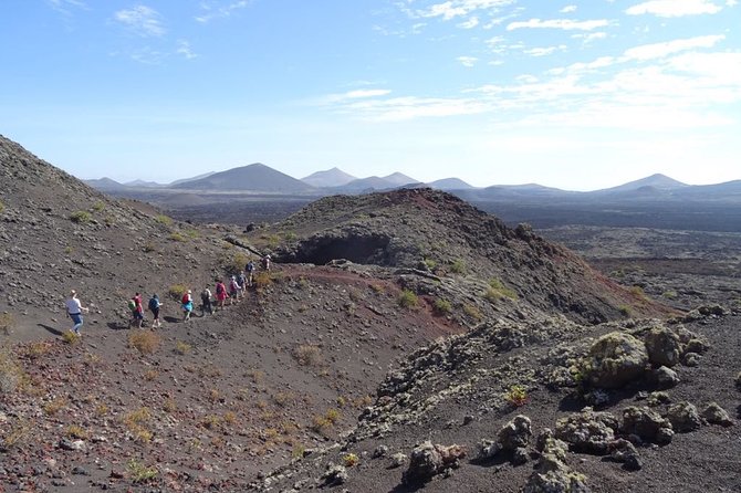 Volcano Trekking Tour (Timanfaya eruptions) - Lava fields, craters, and small details