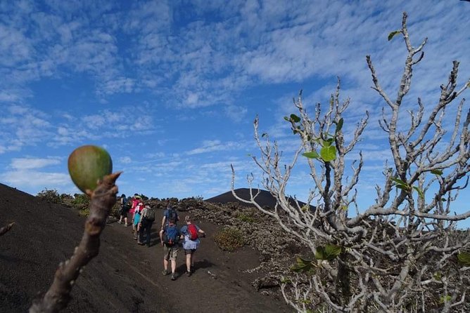 Volcano Trekking Tour (Timanfaya eruptions) - Climbing La Rilla Volcano