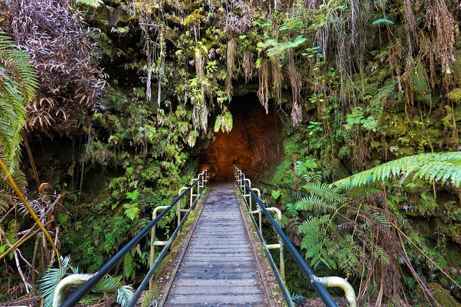 Volcanoes National Park: Guided, Small-Group Hike - Halemaʻumaʻu Crater and the changing face of Kilauea