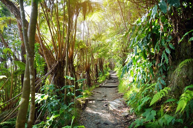 Volcanoes National Park: Guided, Small-Group Hike - Thurston Lava Tube adds a different kind of stop