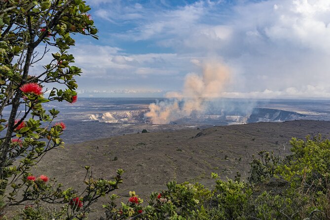 Volcanoes National Park: Guided, Small-Group Hike - Native Hawaiian forest and the living side of the park