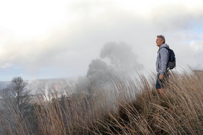 Volcanoes National Park: Guided, Small-Group Hike - Is $220 a good value?