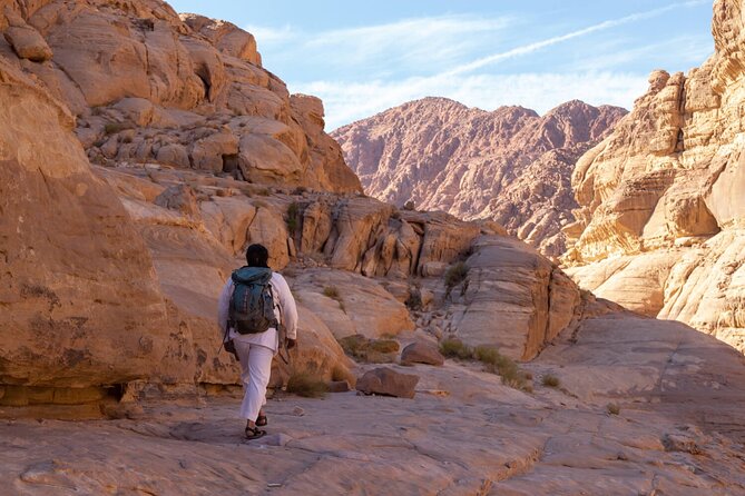 Wadi Rum: Mountain Hike with Lunch & Scenic Valley Tour - Who should book this Wadi Rum day?