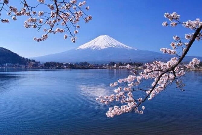 Walk the Ancient Pilgrim Paths of Mt. Fuji – Private Tour - Walking the Ochudo Trail at 2,305 meters