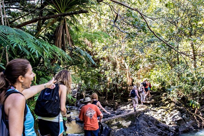Waterfall & Rainforest Hiking Adventure with Hotel Pickup - Guides are the heart of the experience