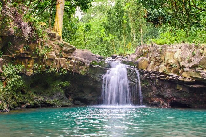 Waterfall & Rainforest Hiking Adventure with Hotel Pickup - Small groups make a practical difference